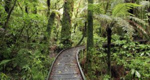 Climate Change Commission